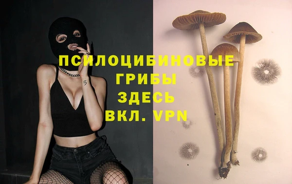 марки nbome Каменногорск