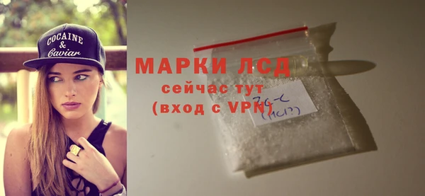 сатива Каменка