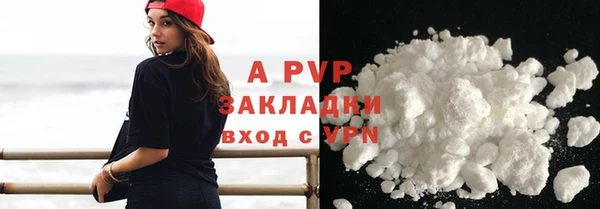 сатива Каменка