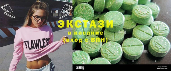 сатива Каменка
