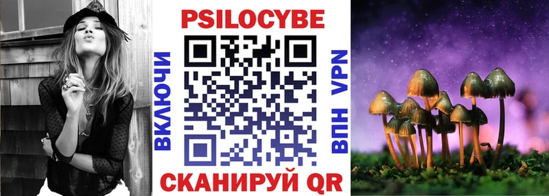 где можно купить наркотик  Чистополь  Галлюциногенные грибы прущие грибы 