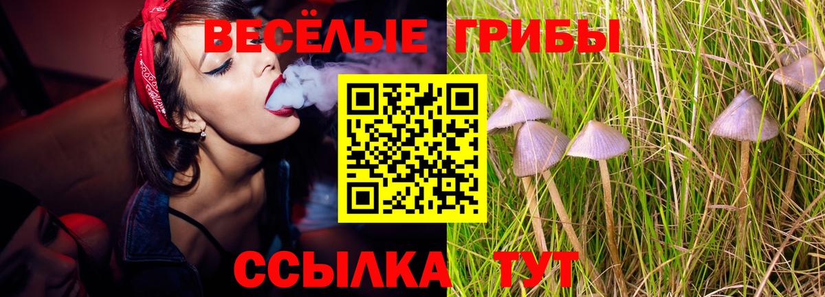 Псилоцибиновые грибы Magic Shrooms Чистополь