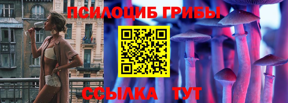 Псилоцибиновые грибы GOLDEN TEACHER  Псилоцибиновые грибы ЛСД  Вход с VPN  Чистополь 